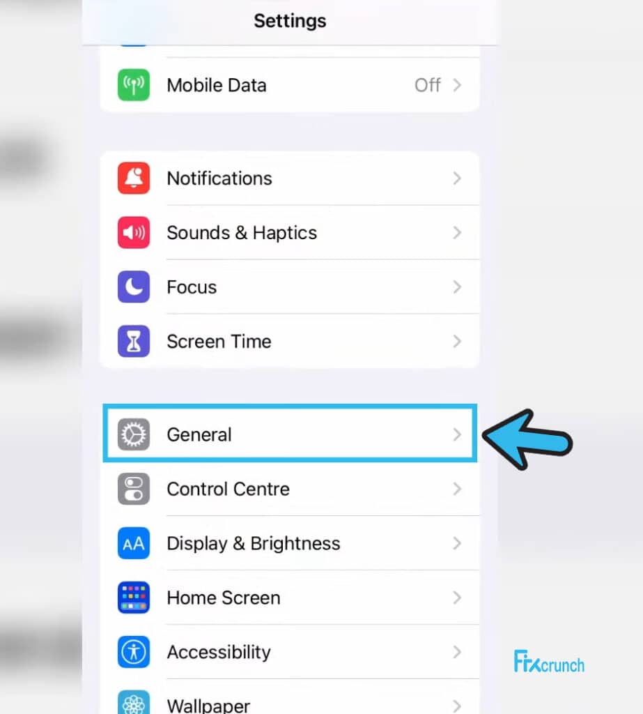 iPhone general settings